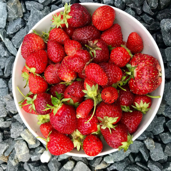chas generic strawberry