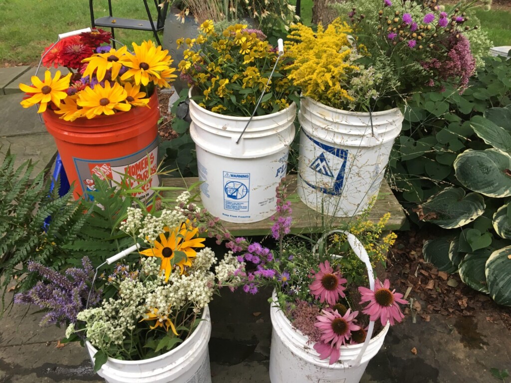 yellow, pink, and white flowers in buckets